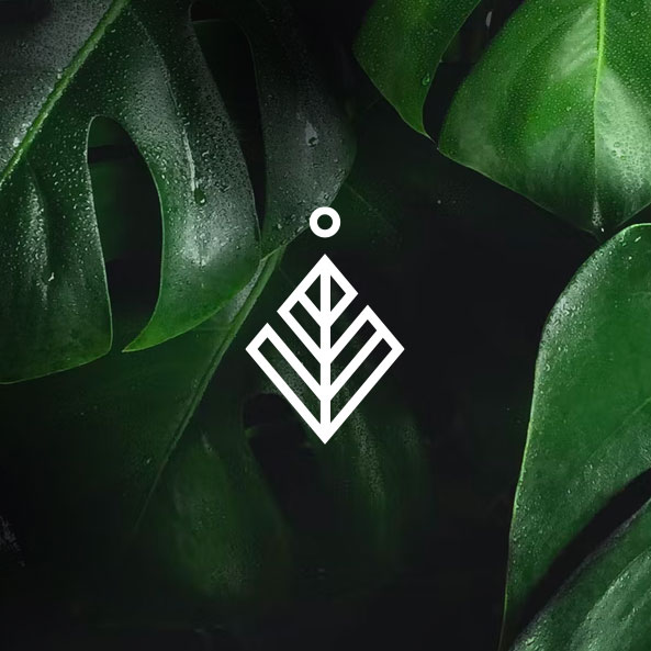 mundo-botanico-logotipo-2